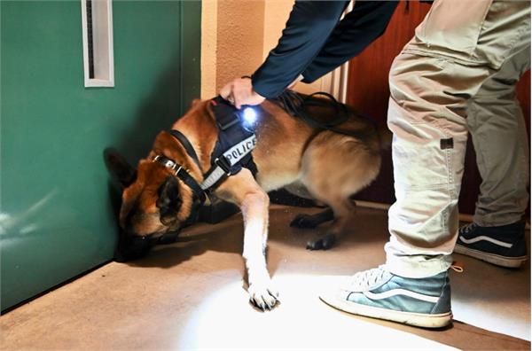 استفاده از سگ های پلیس برای تامین امنیت پاریس 2024