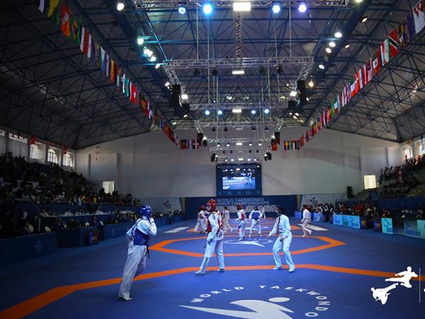 Iran Wins 4 More Medals in Tunisia's Int'l Taekwondo Tournament