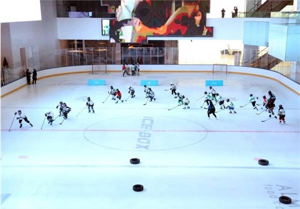 جلسه مجازی(آنلاین) فدراسیون جهانی هاکی روی یخ برگزار شد