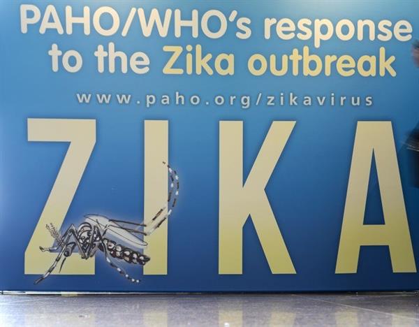 مدیر بخش پزشکی ریو 2016؛احتمال شیوع ویروس زیکا در زمستان بعید است
