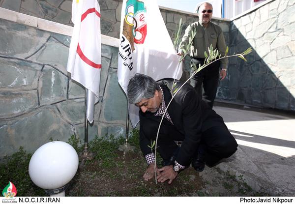 با حضور رئیس کمیته ملی المپیک ،مراسم روز درختکاری برگزار شد