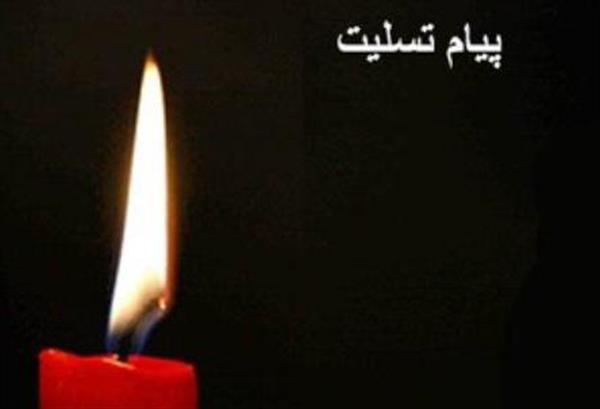 پیام تسلیت کمیته ملی المپیک به مناسبت درگذشت محمد عرب پیشکسوت کشتی