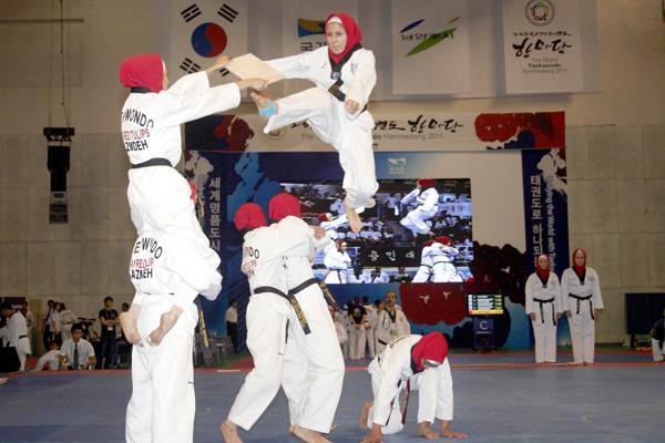 ایران میزبان مسابقات جهانی هانمادانگ