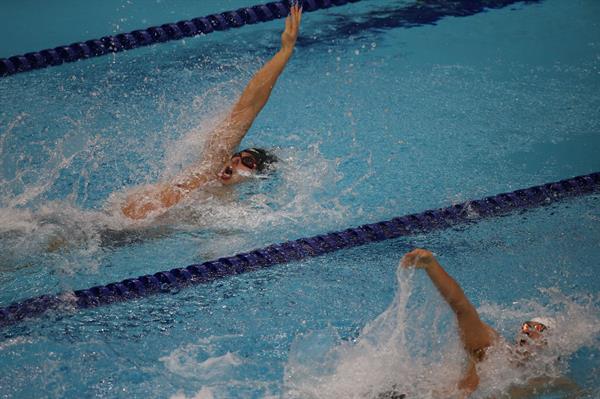دور جدید اردوی تیم ملی شنا از چهارم بهمن آغاز می شود