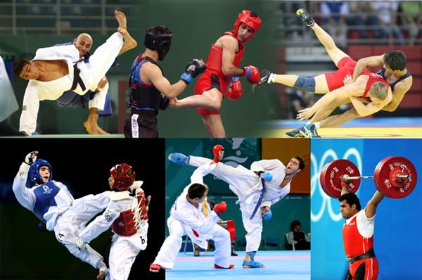 صبح امروز و از سوی انجمن پیشکسوتان ورزش ایران برگزار شد؛تجلیل از 87 قهرمان المپیک و جهانی