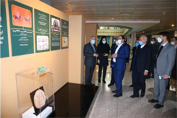 بازدید ریاست دانشگاه تهران از موزه ملی ورزش 6