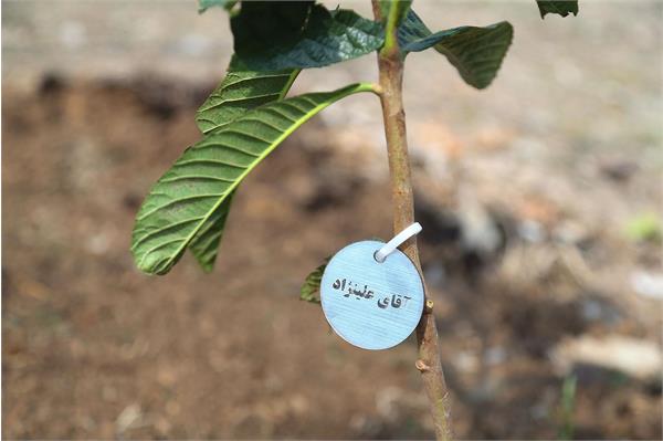 مراسم روز درختکاری در آکادمی ملی المپیک و فدراسیون گلف 25