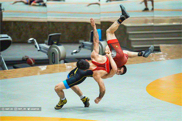 اردوی تیم ملی کشتی فرنگی بزرگسالان