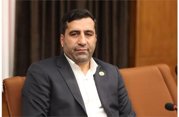 President of Skating Federation Elected