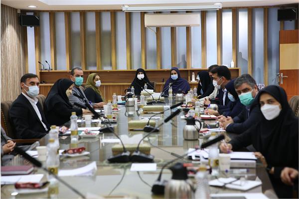 جلسه کمیسیون زنان  11