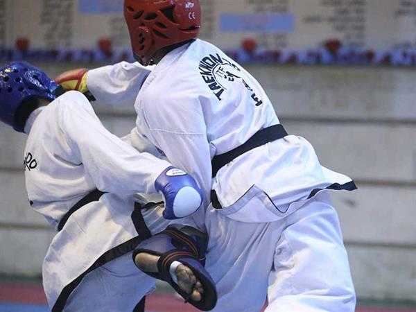 کردستان، میزبان مسابقات آزاد قهرمانی سبک «هیانگ (ITF)»