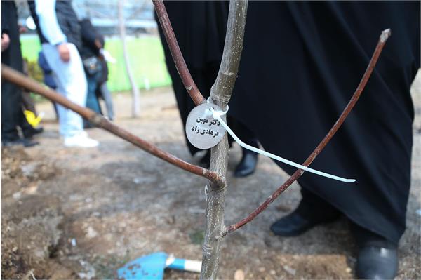 مراسم روز درختکاری در آکادمی ملی المپیک و فدراسیون گلف 26