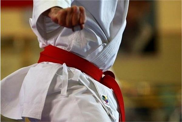 با پیشنهاد شورای فنی و راهبردی کاتا  نکوفر به عنوان مدیر فنی تیم های ملی کاتا انتخاب شد