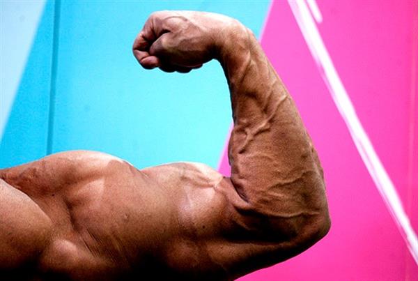 تیم ملی بادی کلاسیک و بادی بیلدینگ آماده مسابقات جهانی می شوند