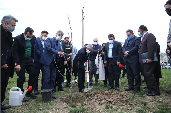 مراسم روز درختکاری 28