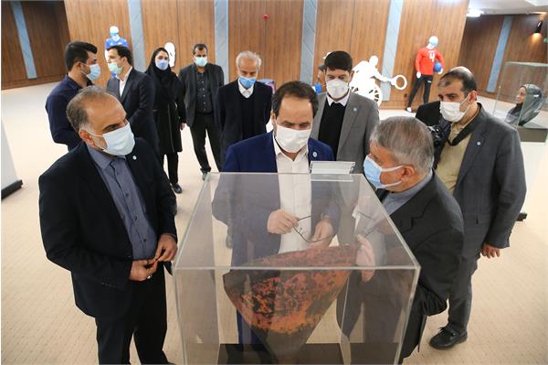 بازدید ریاست دانشگاه تهران از موزه ملی ورزش 20