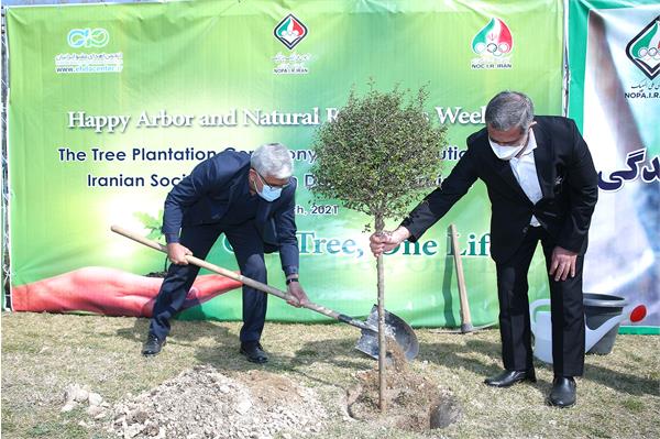 مراسم روز درختکاری 7