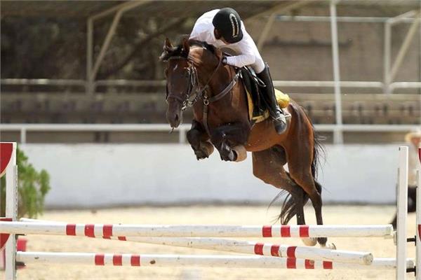 برگزاری مسابقات پرش با اسب به میزبانی محمد شهر کرج