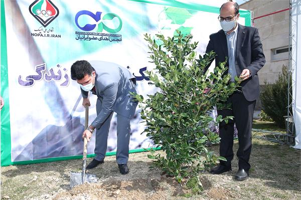 مراسم روز درختکاری 8