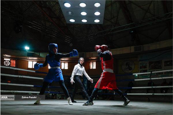 برترین های راه یافته به تیم ملی بوکس بانوان مشخص شدند