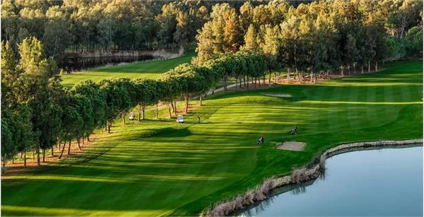 اعزام 4 نماینده گلف ایران به رقابت‌های رنکینگ جهانی اوپن ترکیه