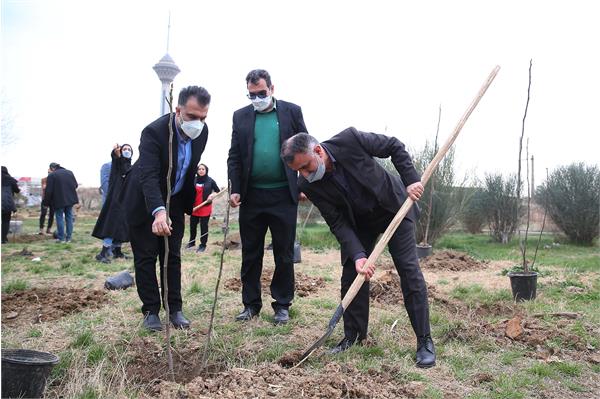 مراسم روز درختکاری 15