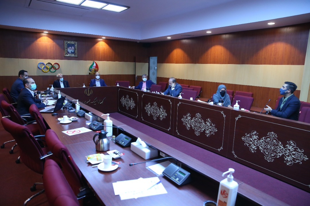 فدراسیون اسکیت