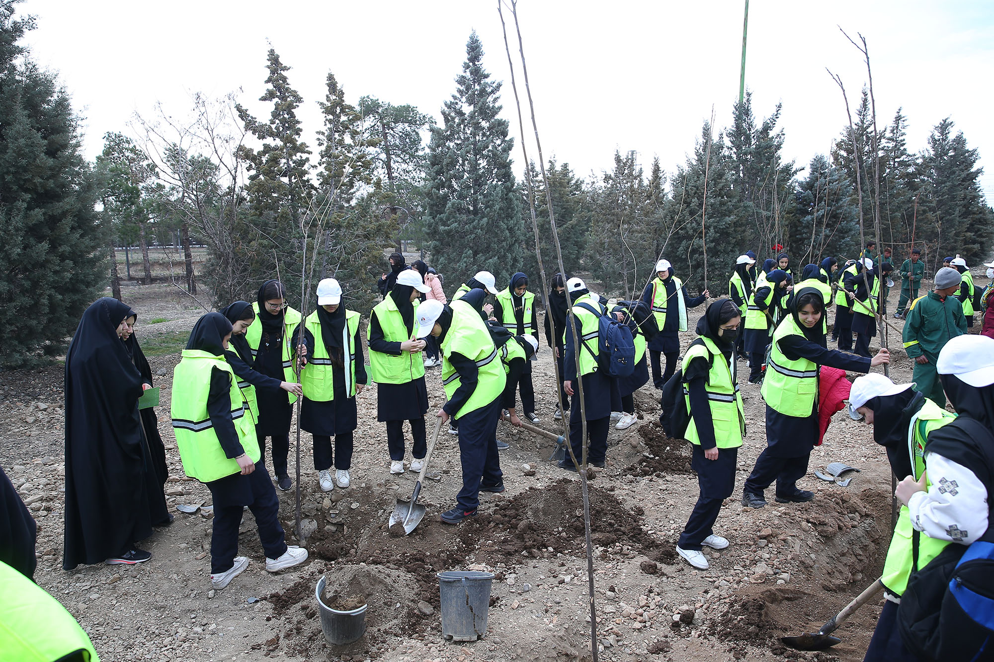 مراسم گرامیداشت روز محیط زیست 4