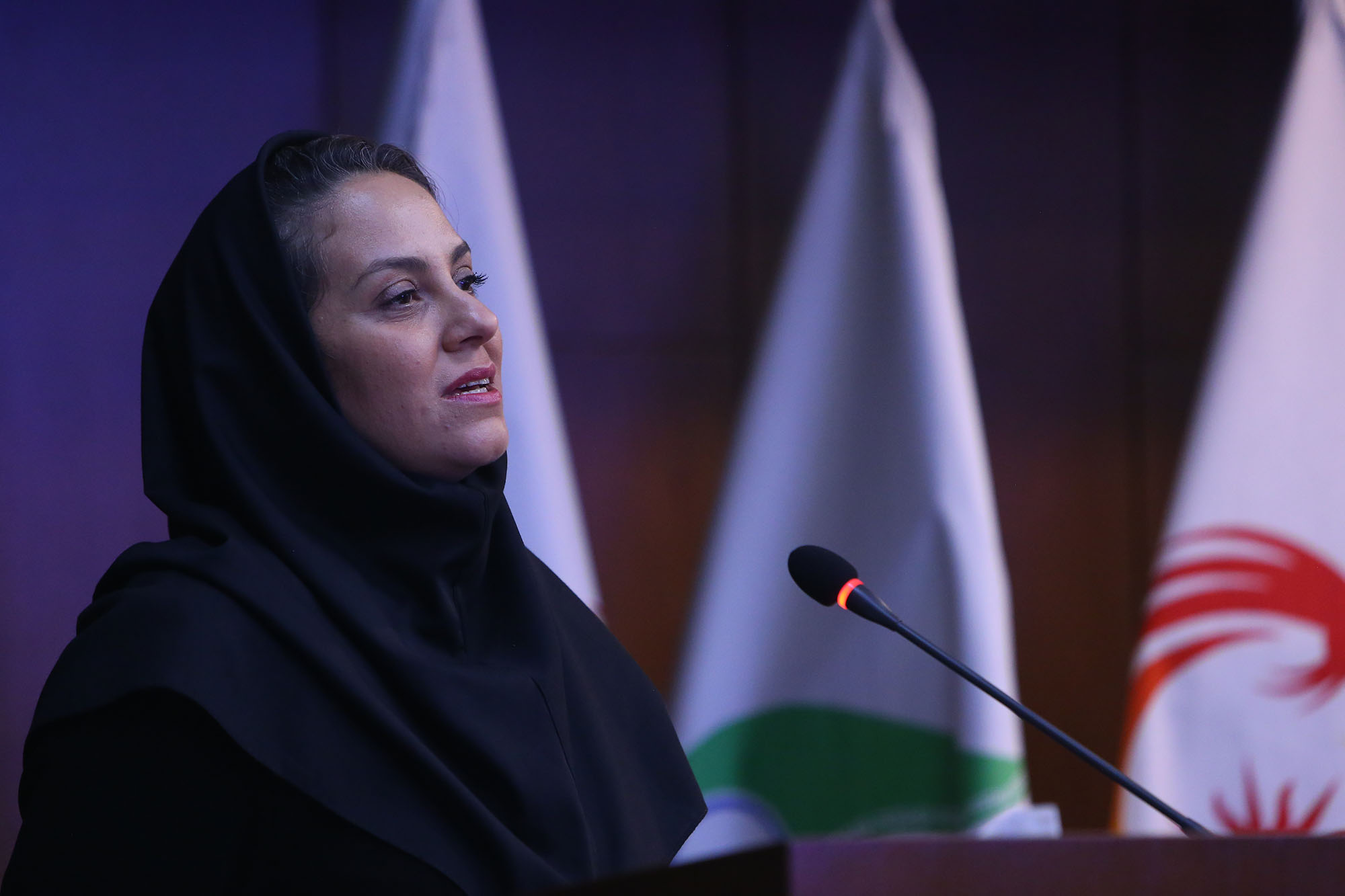 مراسم افتتاحیه سالن ورزشی برتر بانوان 6