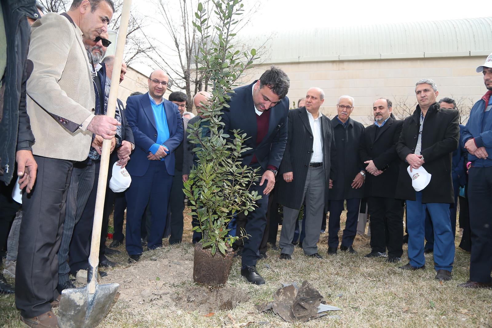 مراسم روز درختکاری در آکادمی ملی المپیک و فدراسیون گلف 1