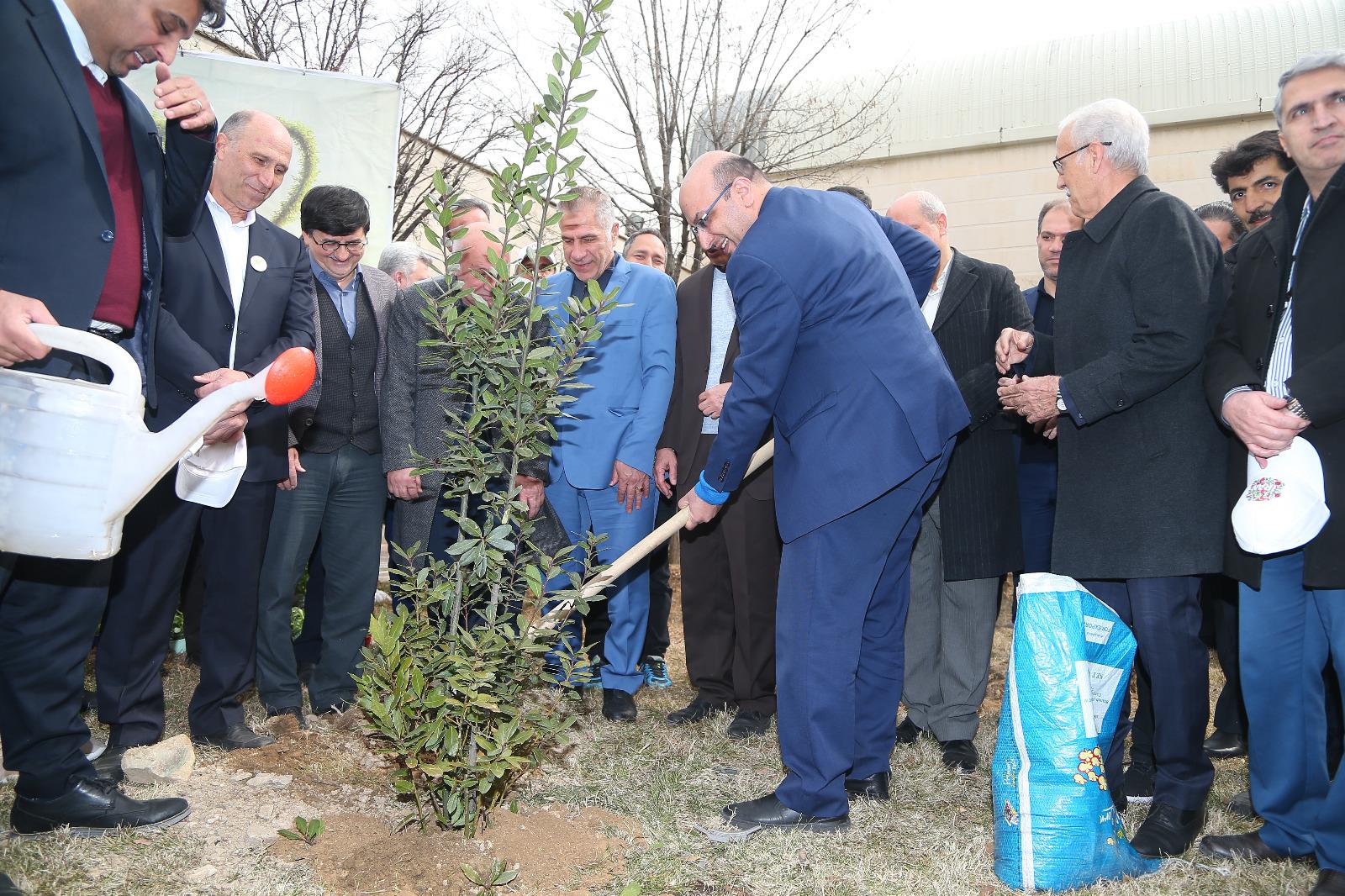 مراسم روز درختکاری در آکادمی ملی المپیک و فدراسیون گلف 6