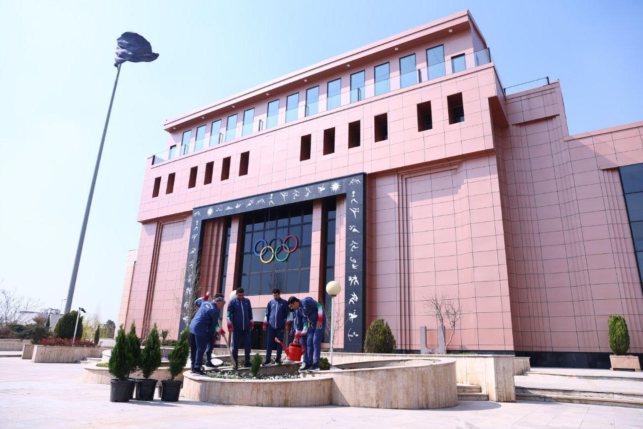 درختکاری