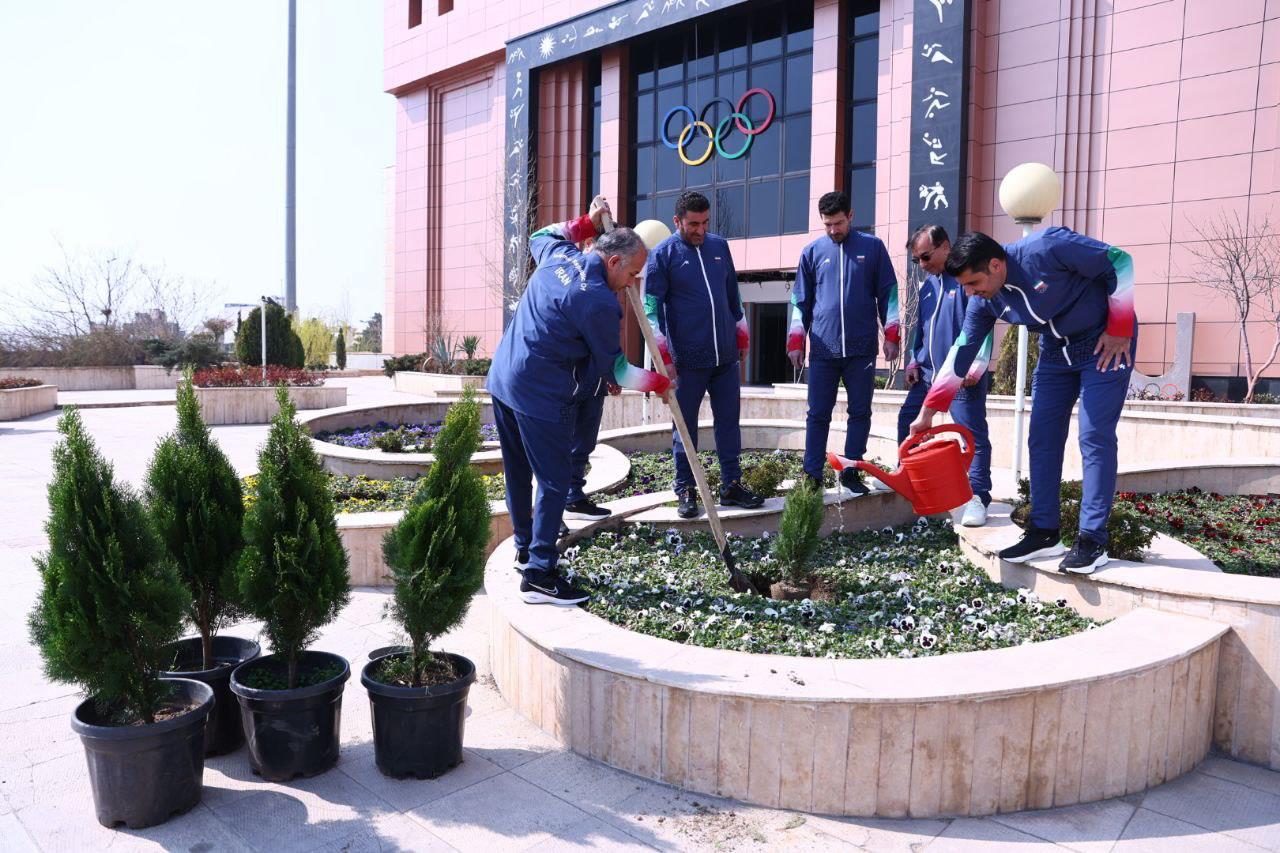 درختکاری