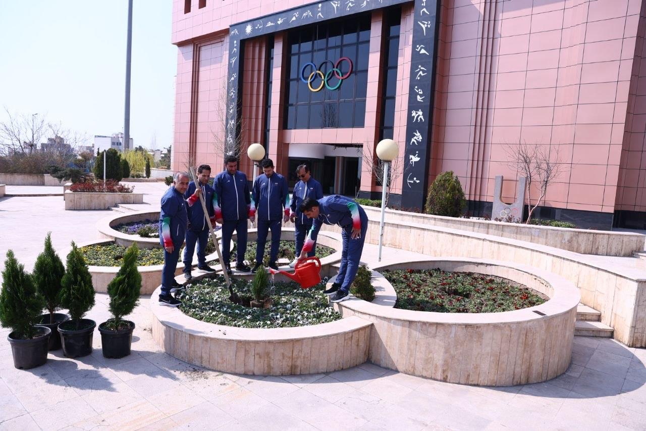 درختکاری